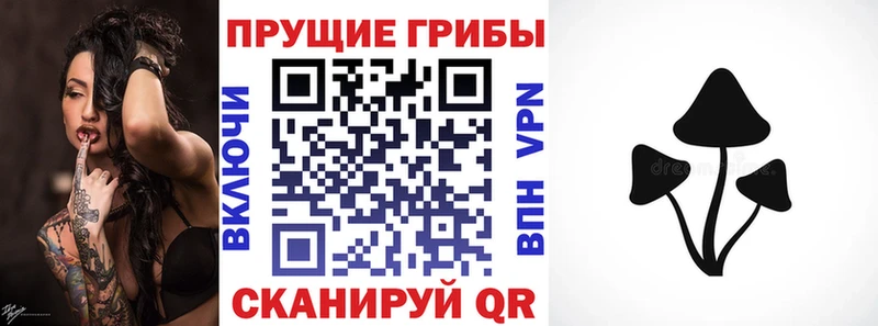 Псилоцибиновые грибы ЛСД  Гай 